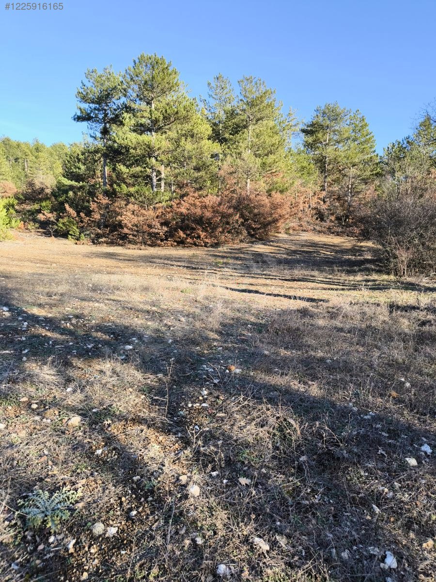 BURSA KELEŞ BAŞAK KÖYÜ’NDE 5.731 M²  TARLA SATILIKTIR - BURSA KELES fotoğraf 9