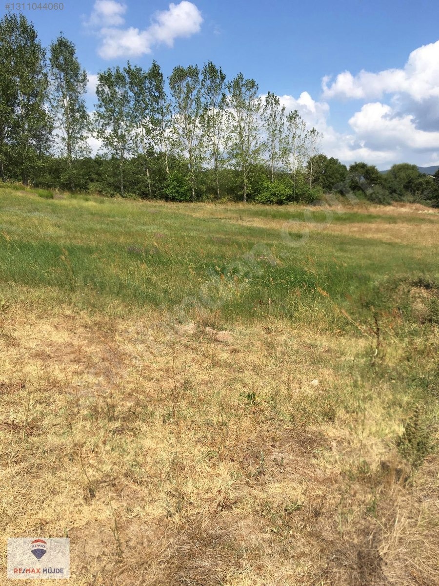 KIRKLARELİ SATILIK 11500 M2 TARLA - KIRKLARELİ PINARHİSAR fotoğraf 11