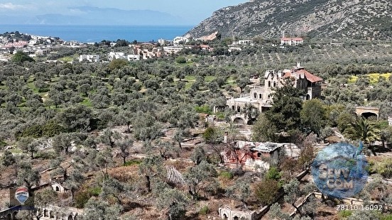 ŞEHIR MERKEZINE YAKIN 15.033 M² SATILIK ZEYTINLIK - AYDIN KUŞADASI fotoğraf 2