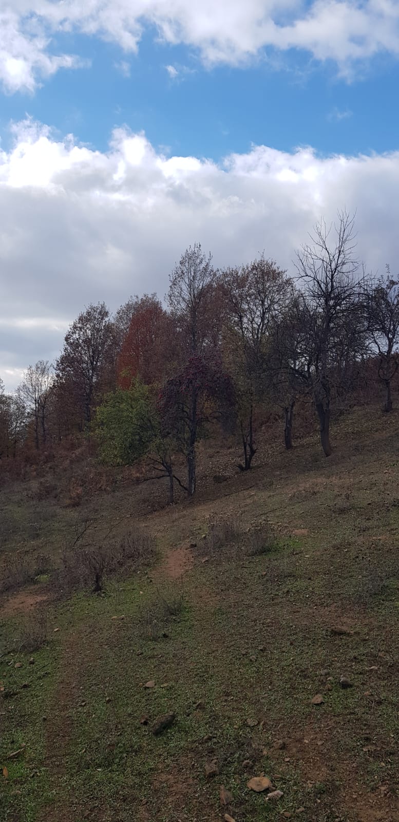 Bursa inegol Hamitabat mahallesinde köye yakin manzarali 16.581 - BURSA İNEGÖL fotoğraf 9