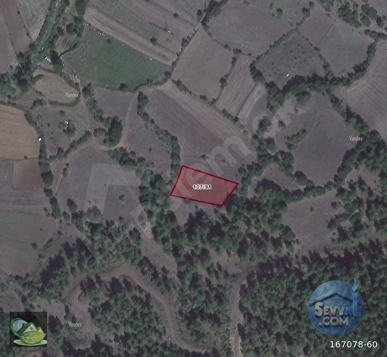 🚨 TAVŞANLI'DA KÖYÜN ÜSTÜNDE 1.725 M² HARİKA ARAZİ 🚨 - KÜTAHYA TAVŞANLI fotoğraf 20