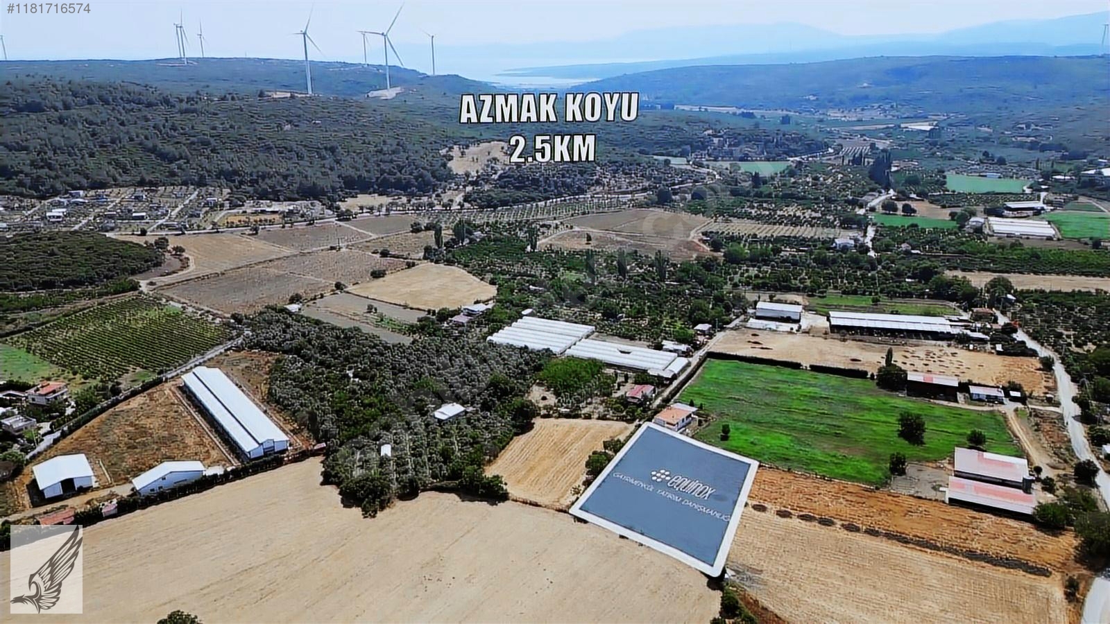Seferihisar Düzce Ovada 3900 M² Emsalsiz Tarla - İZMİR SEFERİHİSAR fotoğraf 5