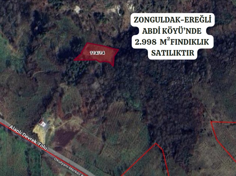ZONGULDAK EREĞLİ ABDİ KÖYÜ’NDE 2.998 M²  FINDIKLIK SATILIKTIR - ZONGULDAK EREĞLİ fotoğraf 2