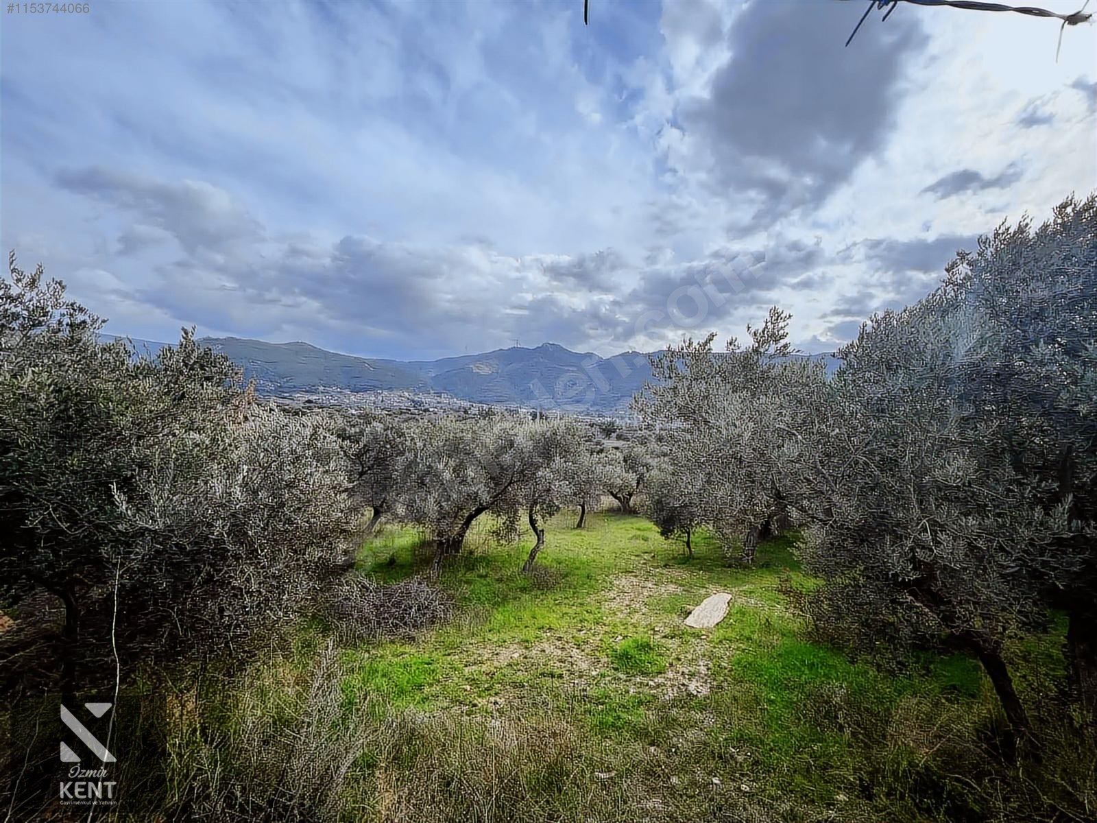 Kemalpaşa Gökyaka Satılık 2700 m2 Bahçe - İZMİR KEMALPAŞA fotoğraf 10