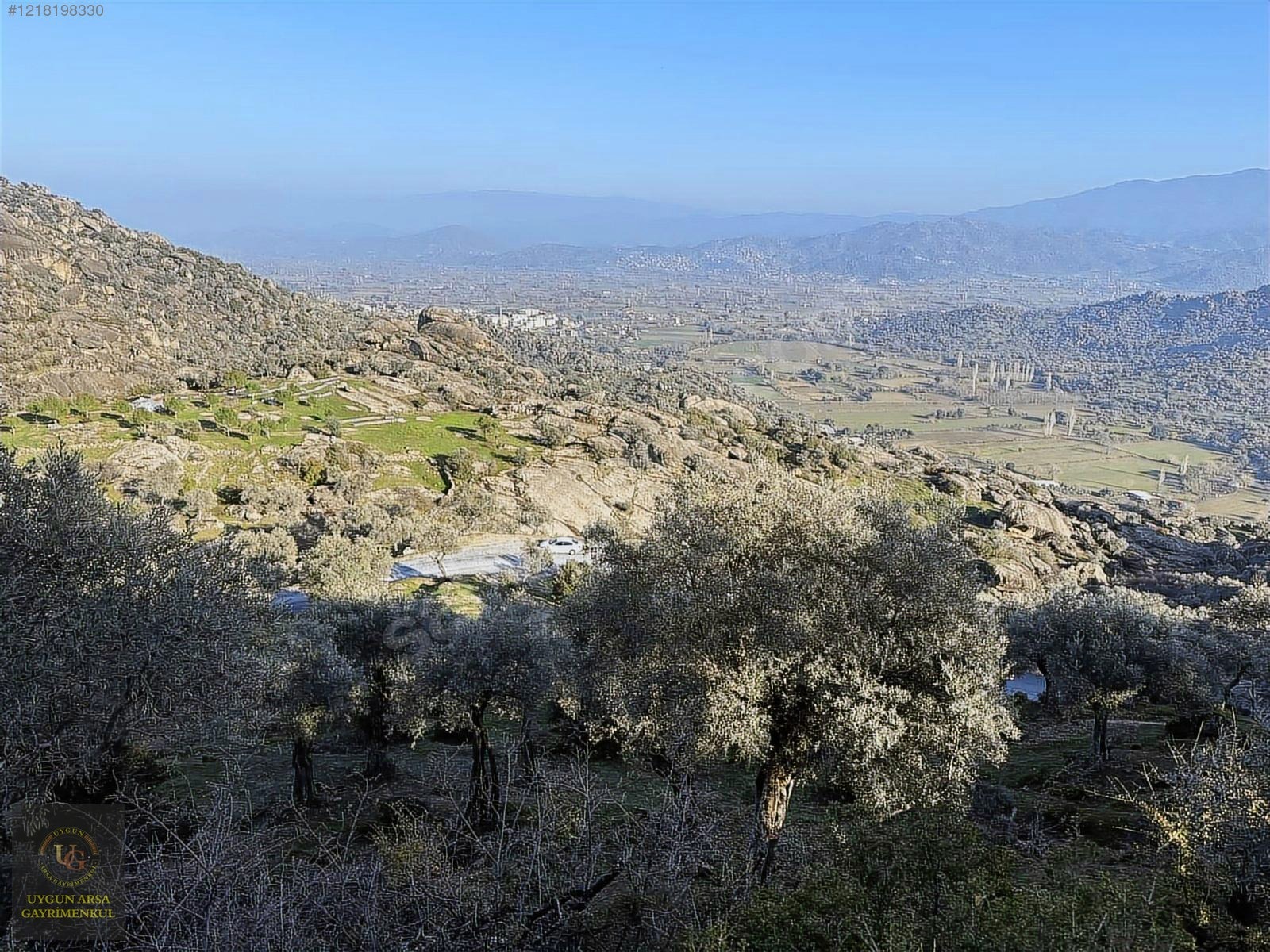 AYDIN KARPUZLU MERKEZ'DE 21.050 M2 ANA YOLA CEPHE ZEYTİNLİK - AYDIN KARPUZLU fotoğraf 9