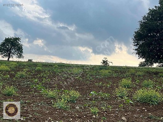 İNEGÖL DÖMEZ MH SATILIK TOPLAM 3.000M2 - BURSA İNEGÖL fotoğraf 11