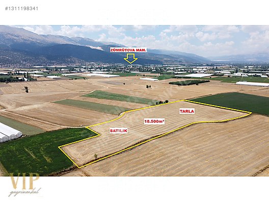 VİP GAYRİMENKUL'den ZÜMRÜTOVA MAH. 18.500m² TARLA - ANTALYA ELMALI fotoğraf 11