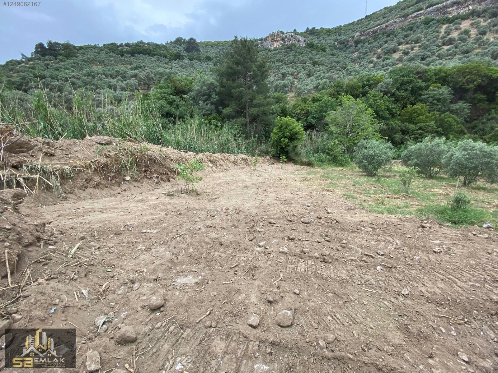 SB EMLAK OFİSİNDEN AKYURT MAHALLESİ SATILIK TARLA(HOBİ BAHÇESİ) - İZMİR TİRE fotoğraf 11