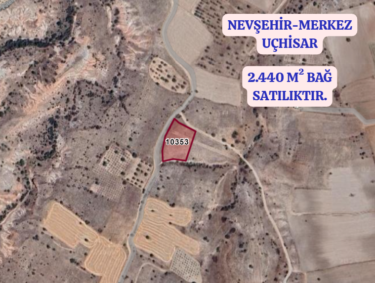 NEVŞEHİR MERKEZ UÇHİSAR  KÖYÜNDE  2.440  M² BAĞ  SATILIKTIR - NEVŞEHİR MERKEZ fotoğraf 2