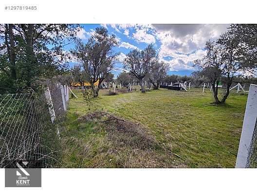 Kemalpaşa Sütçüler Satılık 331 m2 Bahçe - İZMİR KEMALPAŞA fotoğraf 31