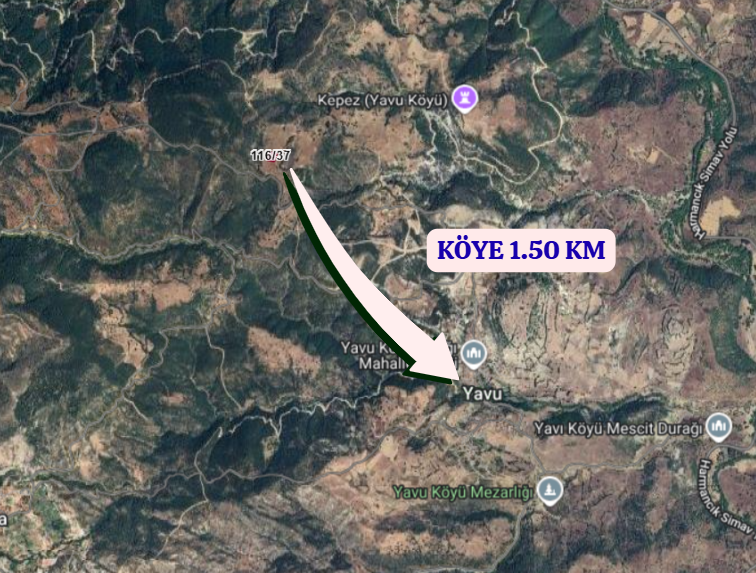 KÜTAHYA SİMAV YAVI   KÖYÜNDE 2.043 M² TARLA  SATILIKTIR - KÜTAHYA SİMAV fotoğraf 4