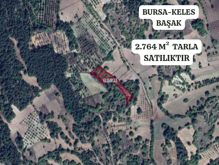BURSA KELES BAŞAK  KÖYÜNDE 2.764 M² TARLA  SATILIKTIR - BURSA KELES fotoğraf 2