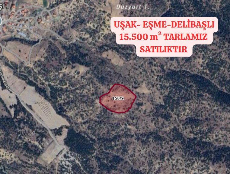 UŞAK EŞME DELİBAŞLI KÖYÜNDE 15.500 M² TARLA SATILIKTIR - UŞAK EŞME fotoğraf 2