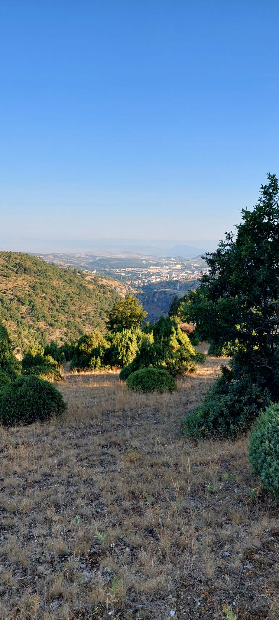 yatırımlık arazi SON FIYAT - BİLECİK SÖĞÜT fotoğraf 11