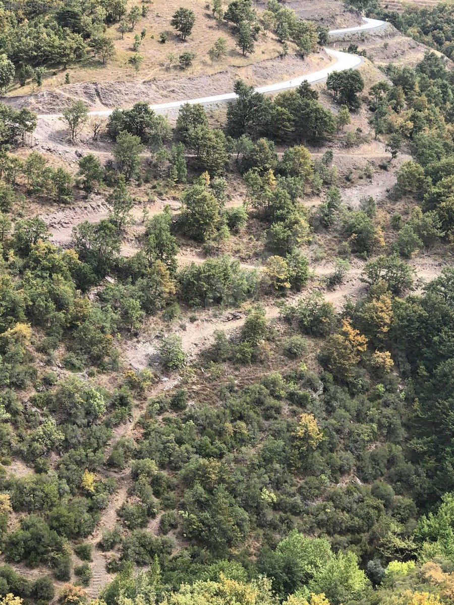 BURSA İZNİK TACİR KÖYÜNDE 5.950 M² TARLA SATILIKTIR - BURSA İZNİK fotoğraf 7