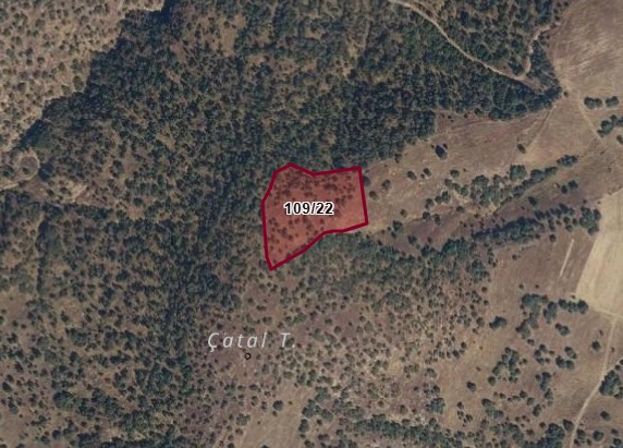 UŞAK EŞME CEMALÇAVUŞ KÖYÜNDE 5.200 M² TARLA SATILIKTIR