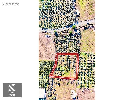 Kemalpaşa M.Akif Ersoy Satılık 7.250 m2 Bahçe Tek Tapu - İZMİR KEMALPAŞA fotoğraf 16