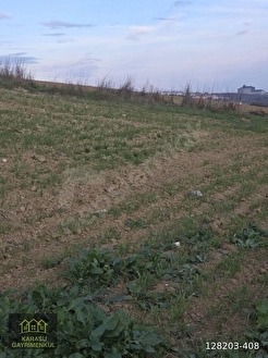 KIRKLARELİ MERKEZ KAPAKLI SÜPER KONUMDA 1231 M2 TARLA - KIRKLARELİ MERKEZ fotoğraf 4