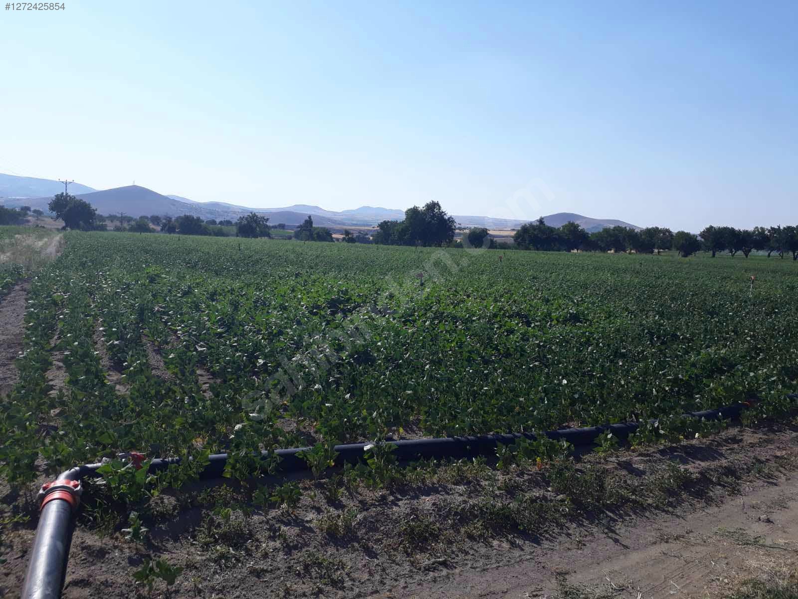 NEVŞEHİR MERKEZ KAYMAKLI  KÖYÜNDE 1.732  M² TARLA  SATILIKTIR - NEVŞEHİR MERKEZ fotoğraf 3