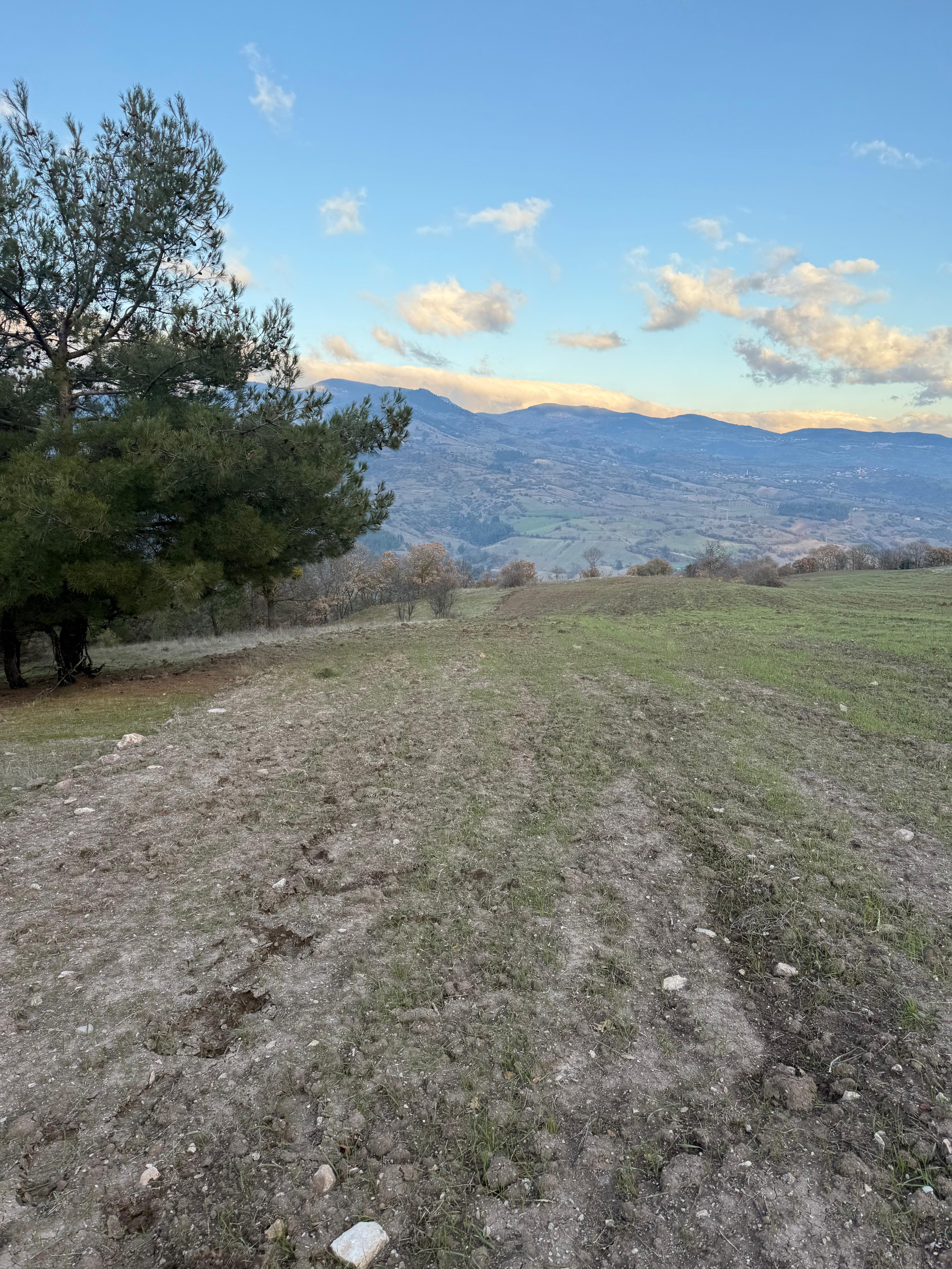 BALIKESİR SINDIRGI OSMANLAR  KÖYÜNDE  9.566   M²  TARLA  SATILIKTIR - BALIKESİR SINDIRGI fotoğraf 5