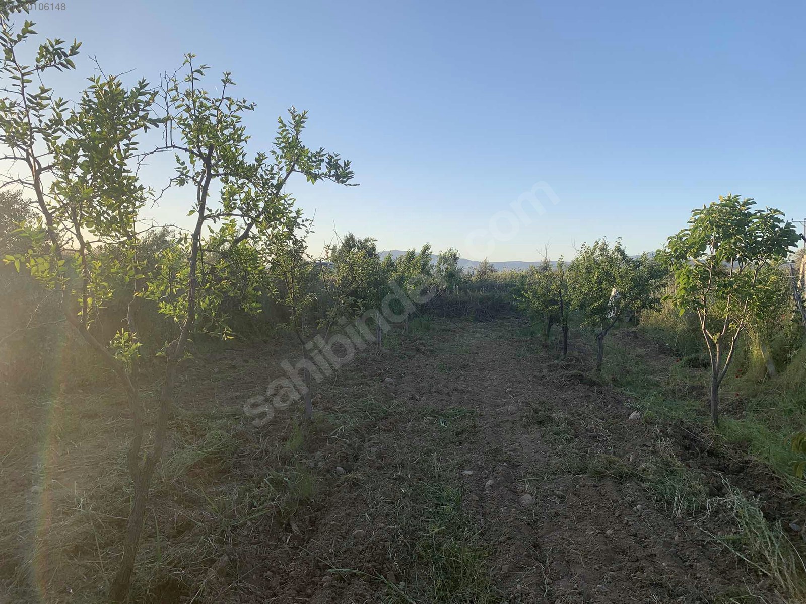 DENİZLİ HONAZ KOCABAŞ MAHALLESİNDE  688 M² TARLA  SATILIKTIR - DENİZLİ HONAZ fotoğraf 16