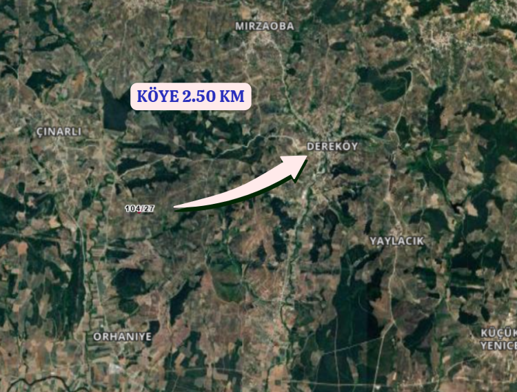 BURSA MUDANYA DEREKÖY  KÖYÜNDE 2.840 M²  ZEYTİNLİK SATILIKTIR - BURSA MUDANYA fotoğraf 5