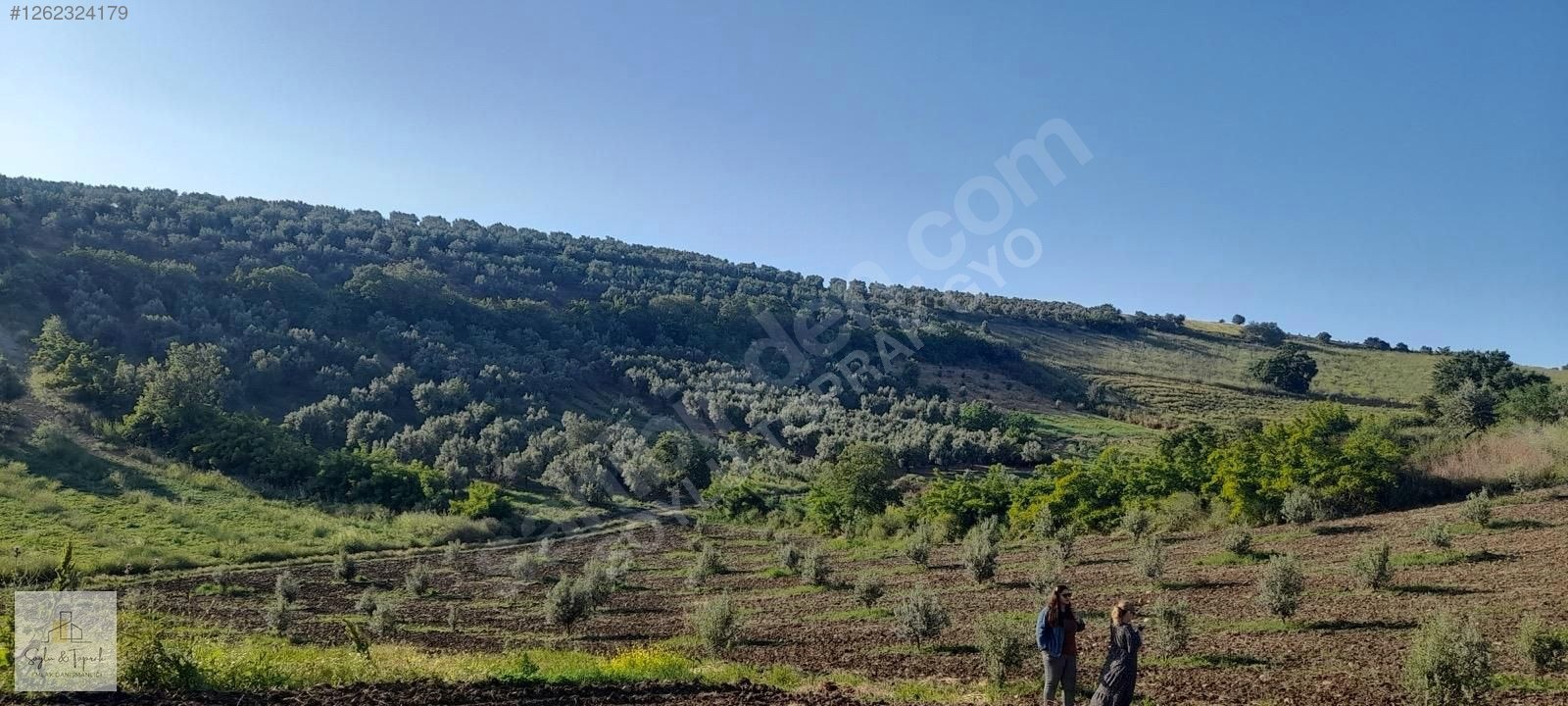 BALİKESİR GÖNEN HAVUTCA KOY CİVARİ 1.440,83m2 - BALIKESİR GÖNEN fotoğraf 3