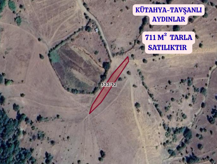 KÜTAHYA TAVŞANLI AYDINLAR  KÖYÜNDE 711 M²  TARLA  SATILIKTIR - KÜTAHYA TAVŞANLI fotoğraf 2