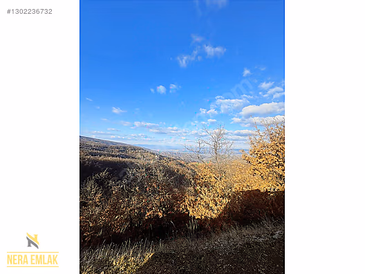 HORZUMKESERLER-İZMİR SARISU'YA YAKIN KADASTRO YOLLU 2.138m2 - MANİSA ALAŞEHİR fotoğraf 7