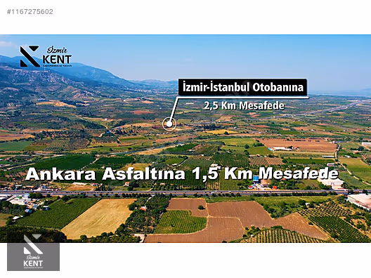 Kemalpaşa Armutlu Satılık 2300 m2 Bahçe Müstakil Parsel Tek Tapu - İZMİR KEMALPAŞA fotoğraf 13