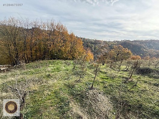 KESTEL LÜTFIYE MH SATILIK 1806M2 TARLA ASVALT YOLA CEPHE - BURSA KESTEL fotoğraf 24