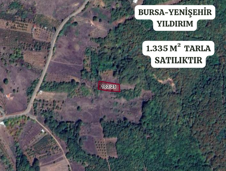 BURSA YENİŞEHİR YILDIRIM  KÖYÜNDE 1.335  M² TARLA  SATILIKTIR - BURSA YENİŞEHİR fotoğraf 2