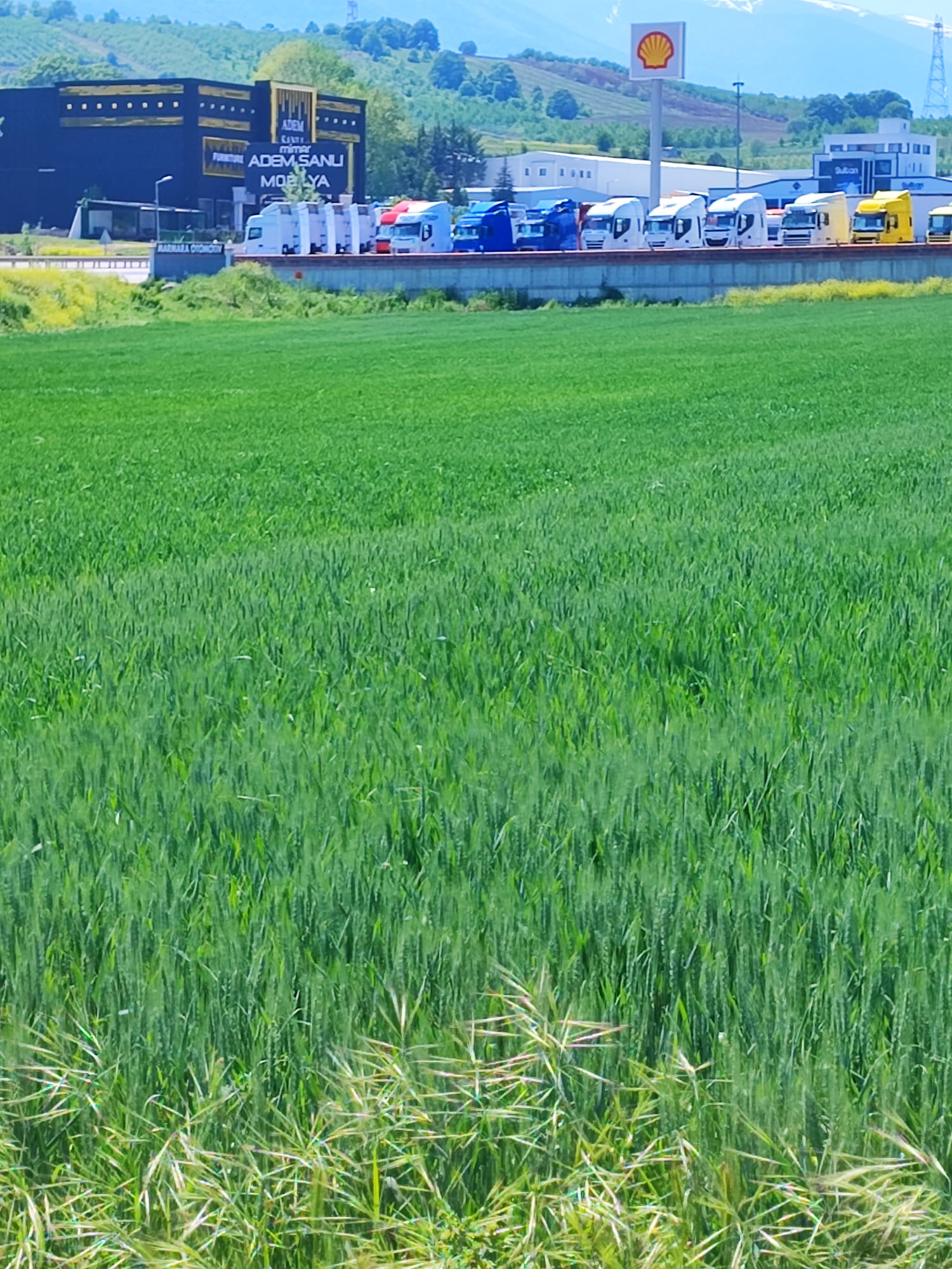 sahibinden arsa - BURSA İNEGÖL fotoğraf 3