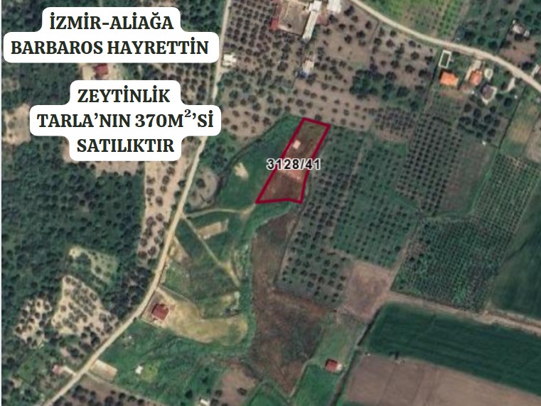 İZMİR ALİAĞA BARBAROS HAYRETTİN PAŞA  KÖYÜ’NDE ZEYTİNLİK TARLA’NIN 370 M² ‘Sİ SA - İZMİR ALİAĞA fotoğraf 3