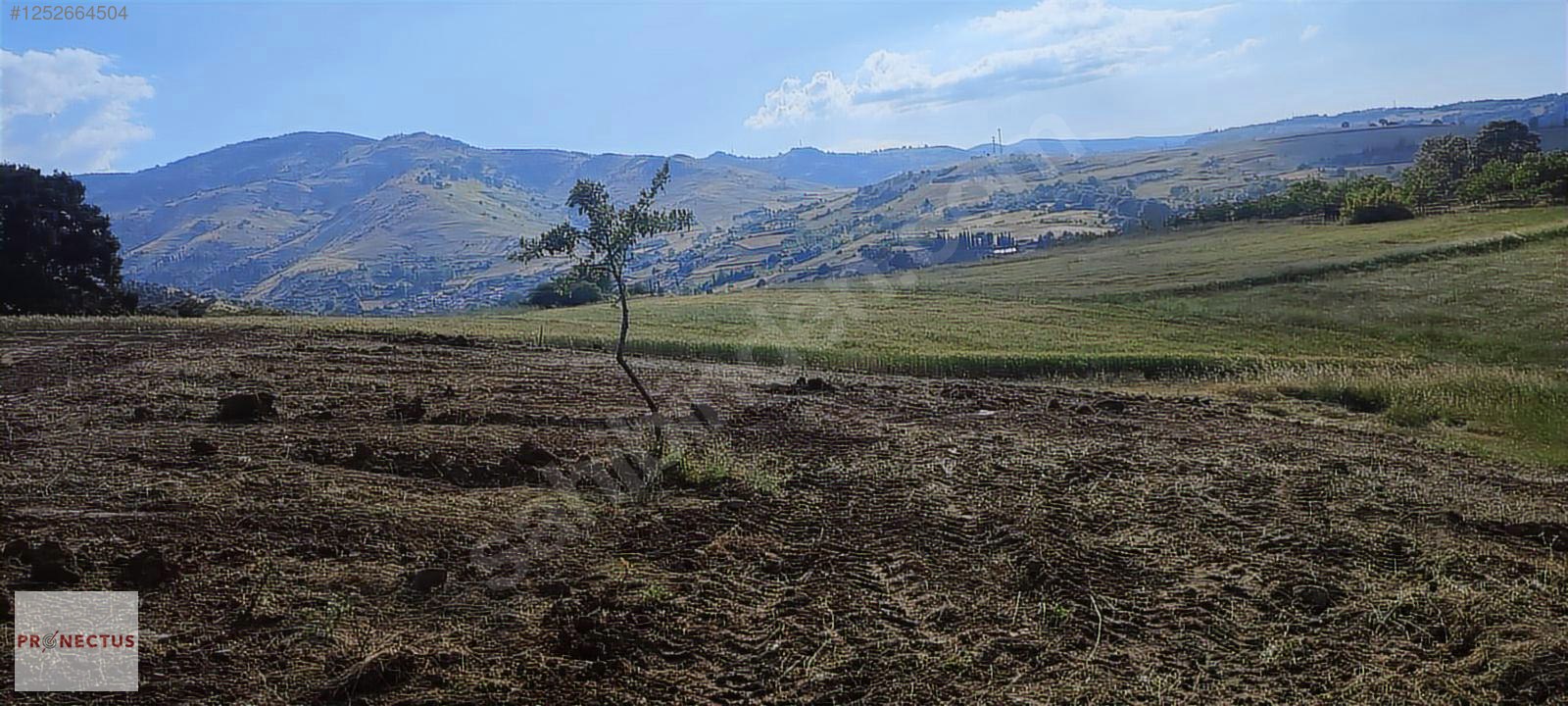 KIZDERBENT MAHALLESİNDE RESMİ YOLLU 2293 M2 SATILIK TARLA - KOCAELİ KARAMÜRSEL fotoğraf 13