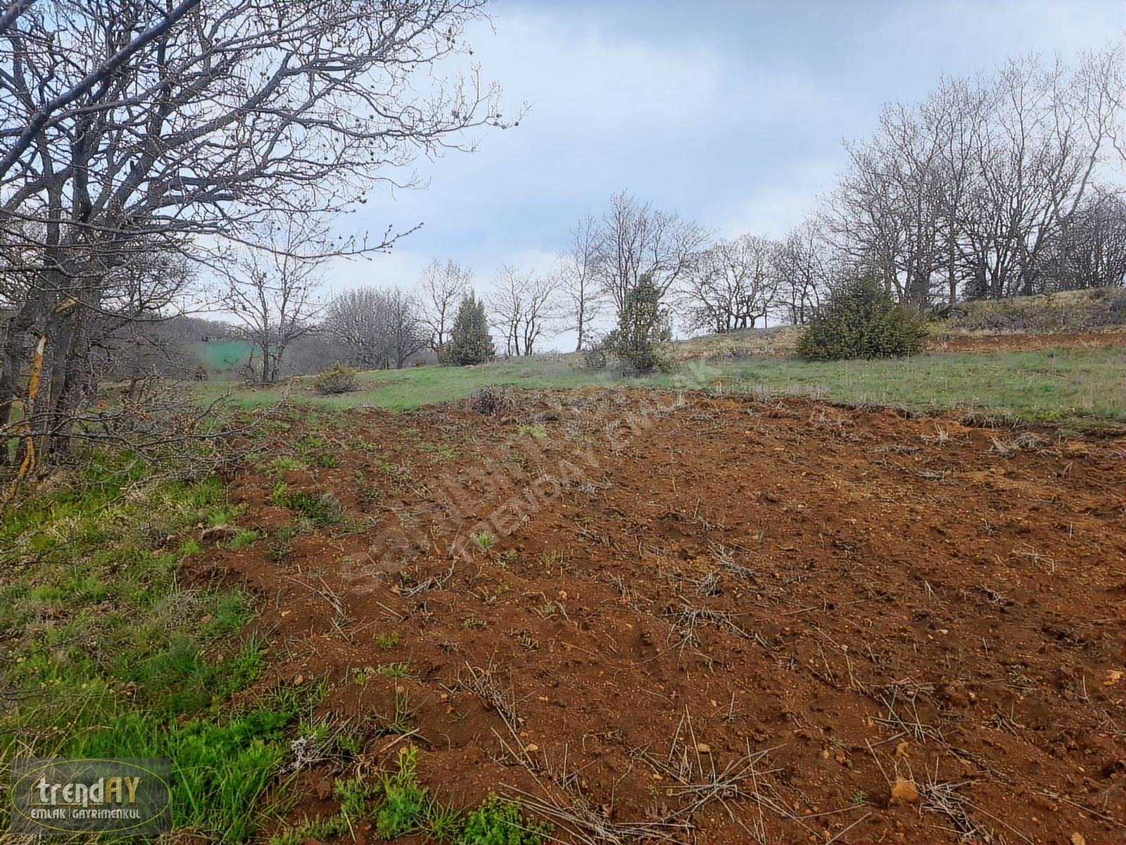 Dübekli Köyü'nde 10.570 m² Kadastral Yola Cepheli Tarlalar - BİLECİK BOZÜYÜK fotoğraf 18