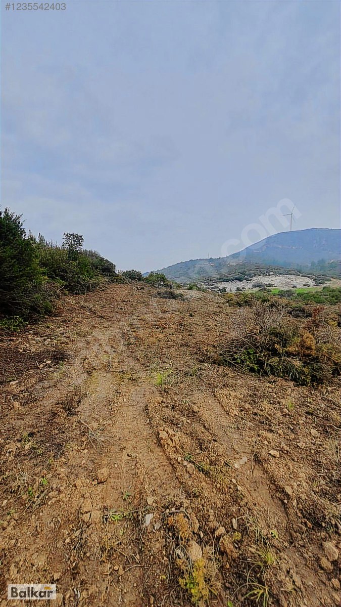 KARABURUN EĞLANHOCA'DA FIRSAT FİYAT 8 DÖNÜM TARLA - İZMİR KARABURUN fotoğraf 3