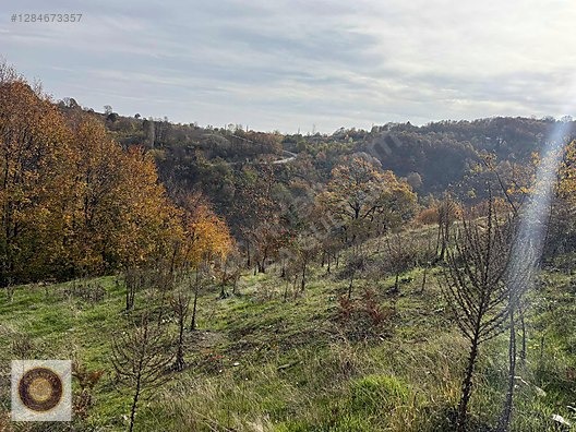KESTEL LÜTFIYE MH SATILIK 1806M2 TARLA ASVALT YOLA CEPHE - BURSA KESTEL fotoğraf 29
