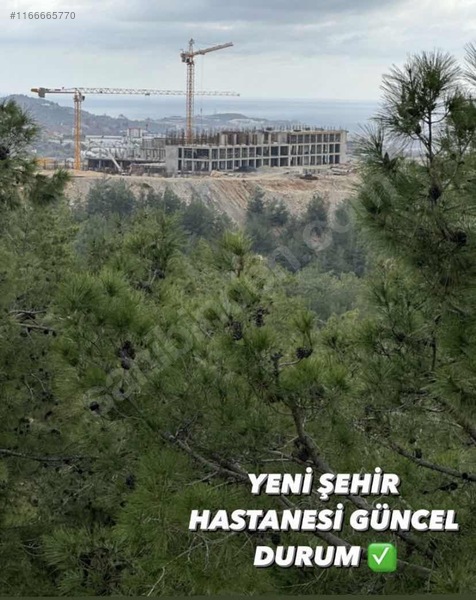  Antalya Alanya Orhan Mahallesinde AVSALLAR'ya yakın FIRSAT!! 630 m²  - ANTALYA ALANYA fotoğraf 2