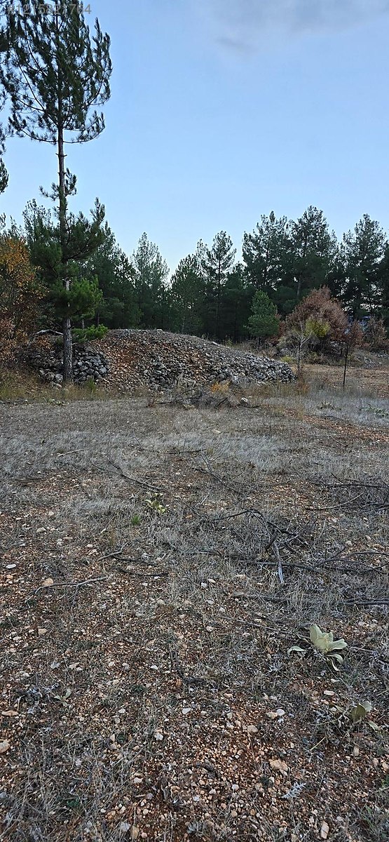 BURSA KELES KIRANIŞIKLAR KÖYÜNDE  658  M² BAĞ SATILIKTIR - BURSA KELES fotoğraf 15