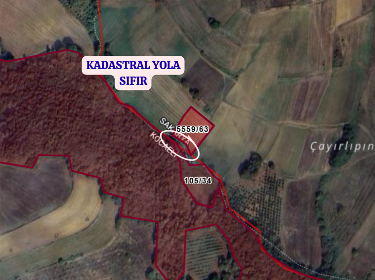 SAKARYA ADAPAZARI BÜYÜKHATAPLI   KÖYÜNDE 2.161 M²  TARLA  SATILIKTIR - SAKARYA ADAPAZARI fotoğraf 3