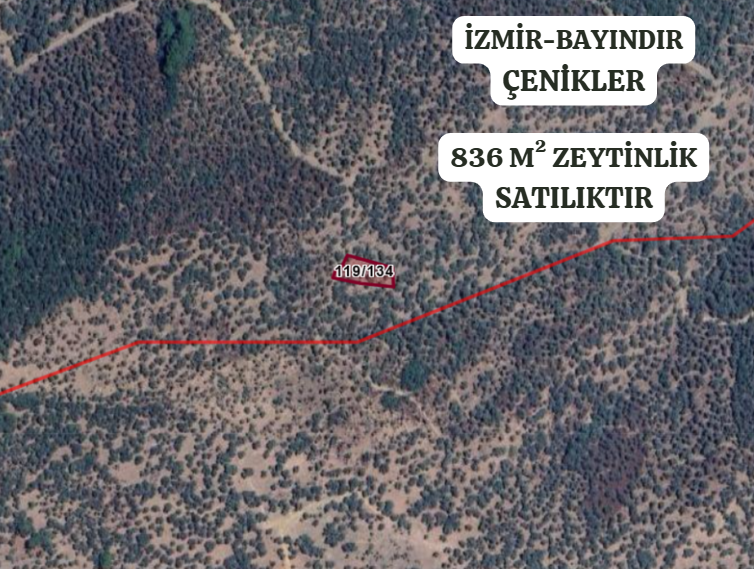 İZMİR BAYINDIR ÇENİKLER  KÖYÜNDE 836 M² ZEYTİNLİK  SATILIKTIR - İZMİR BAYINDIR fotoğraf 2