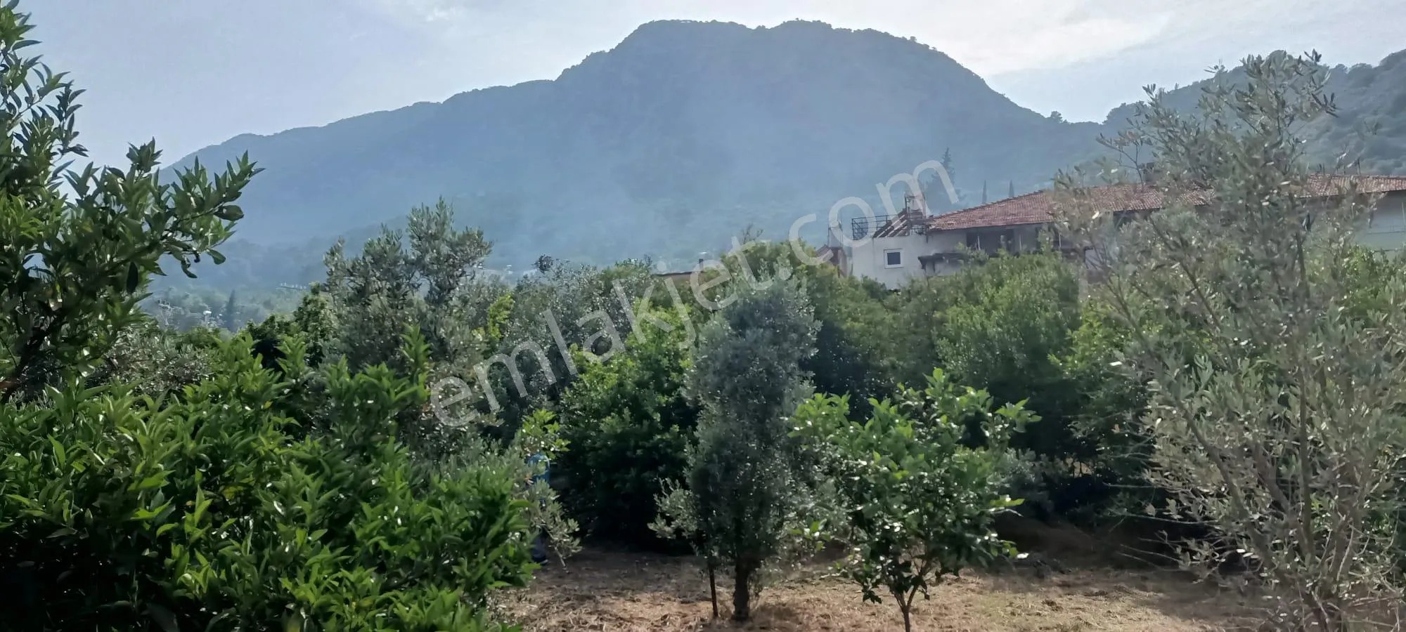 Kumluca Adrasanda Satılık Arsa-tarla( Dönüm Fiyatı) - ANTALYA KUMLUCA fotoğraf 22