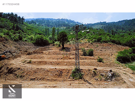 Kemalpaşa Atatürk Kozludere Satılık 6.543 m2 Arazi - İZMİR KEMALPAŞA fotoğraf 30