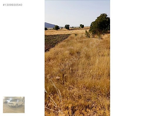 230m tek tapuSalda gölüne 10km.Yeşilova bedirlide - BURDUR YEŞİLOVA fotoğraf 8