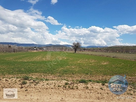 Ticari Tarla Acil Satılık - ANTALYA KORKUTELİ fotoğraf 24