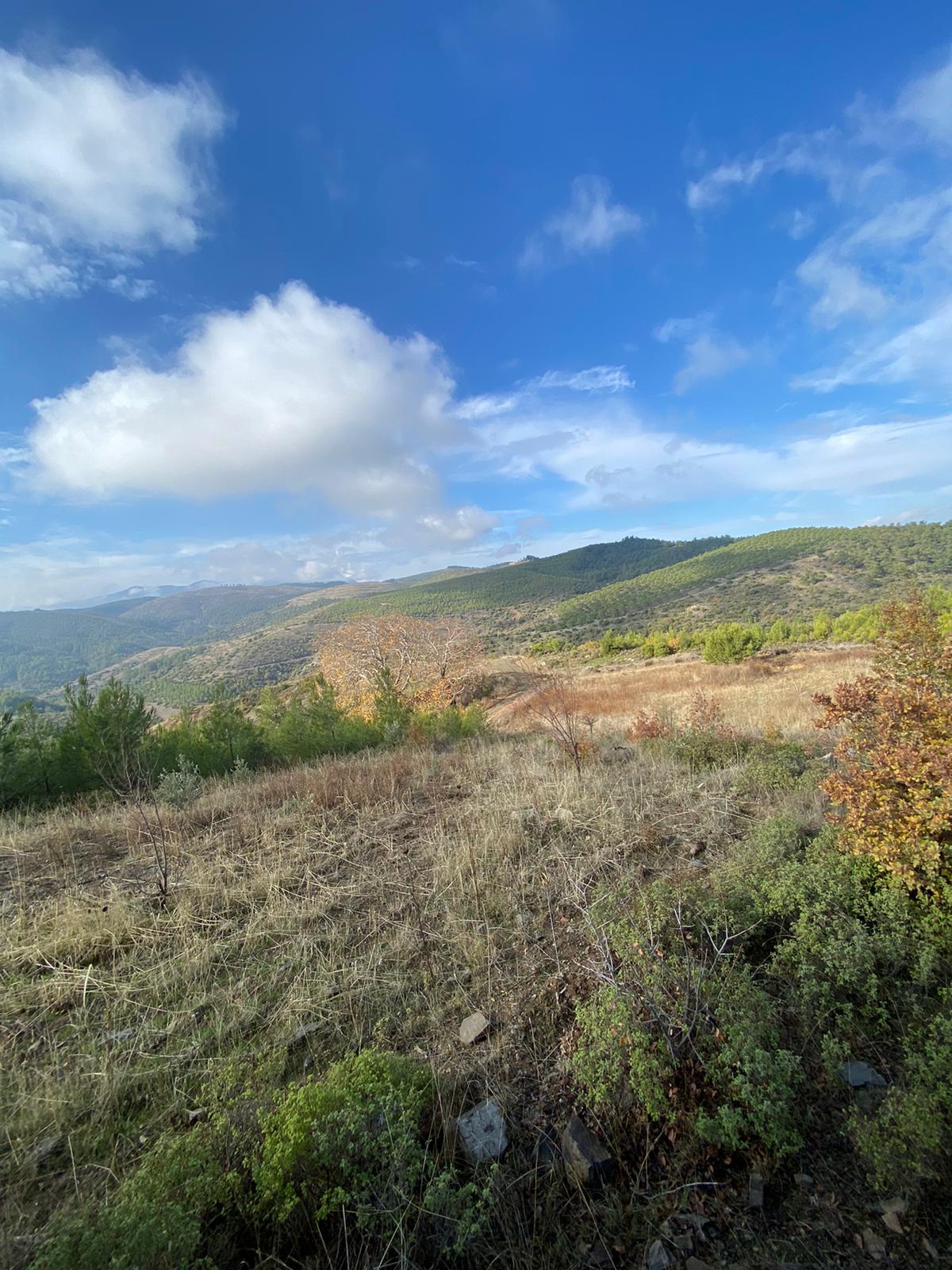 Manisa Yunusemre Büyüksümbüller Mah. Satılık Tarla - MANİSA YUNUSEMRE fotoğraf 14