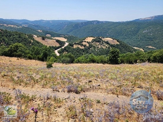🚨 KOZDEREGÜVEM'DE 3.726 M² RESMİ YOLLU MANZARALI HARİKA TARLA 🚨 - BALIKESİR ALTIEYLÜL fotoğraf 16