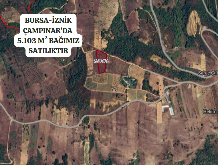 BURSA İZNİK ÇAMPINAR'DA 5.103 M²  BAĞIMIZ SATILIKTIR - BURSA İZNİK fotoğraf 2