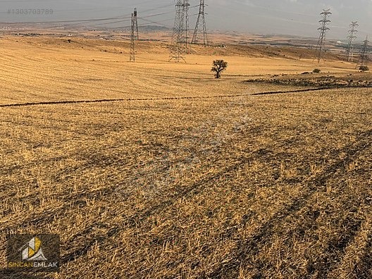 Satılık Yatırımlık TEK TAPU ANA YOLA YAKIN Osmaniye Mahallesi - ANKARA SİNCAN fotoğraf 15